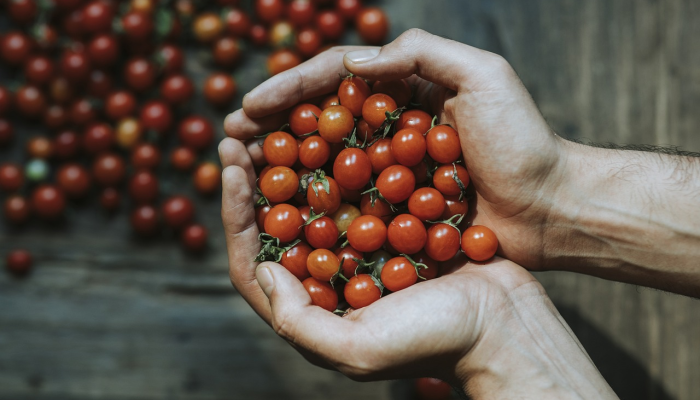 疫情最新动态表情：解读当下全球健康形势