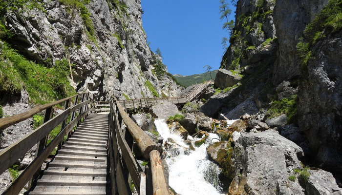 蠡县最新疫情行程：让您的旅程更安全、更安心