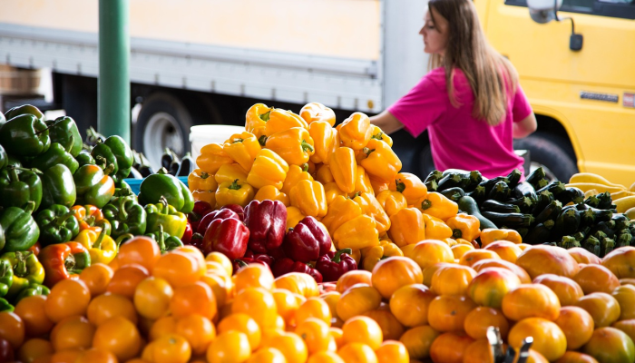茶花社区最新疫情:保护健康,共同守护 茶花社区最新疫情:保护健康,共同守护