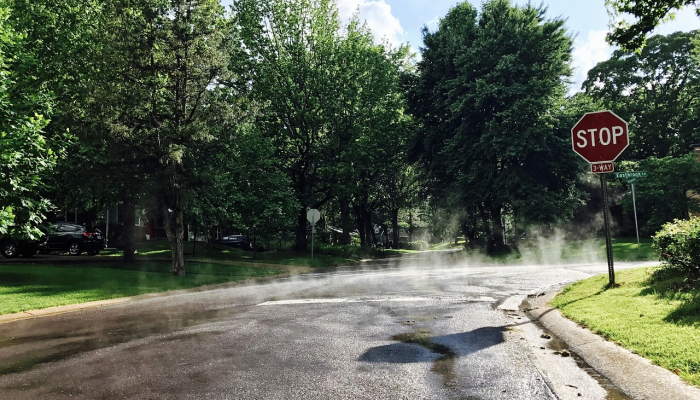 凤庆疫情最新:安全与健康的双重守护 凤庆疫情最新:安全与健康的双重守护