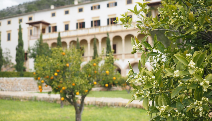 祥和山庄最新疫情：保护您的健康，我们共同努力