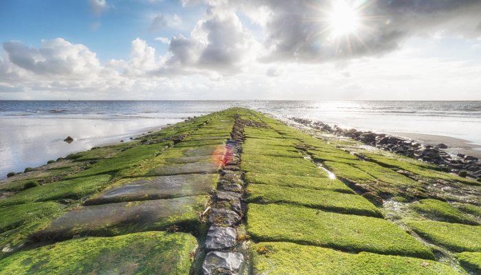 旬阳坝疫情最新：全面了解疫情动态与防护知识