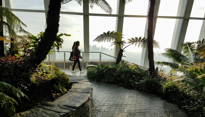 泉城花园最新疫情情况