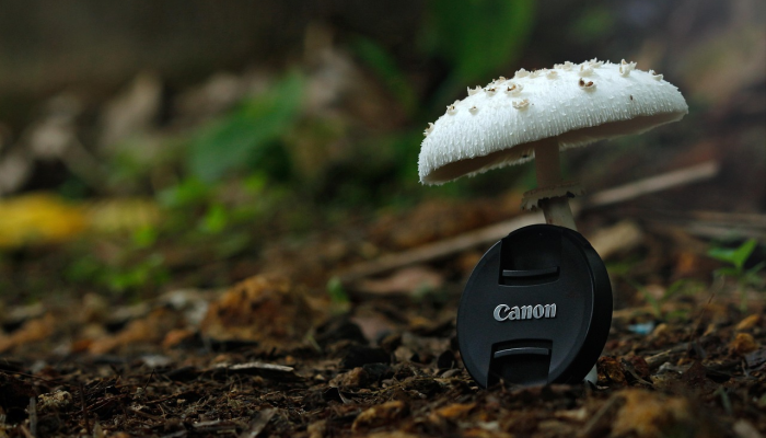 湖州疫情最新头条:全面掌握最新动态,共同守护健康安全 湖州疫情最新头条:全面掌握最新动态,共同守护健康安全