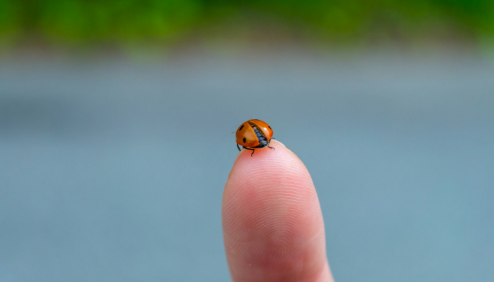 查中国疫情地图最新:全面了解最新疫情动态 查中国疫情地图最新:全面了解最新疫情动态