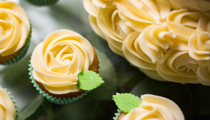 浙江疫情情况龙港最新：最新动态与防疫措施解读