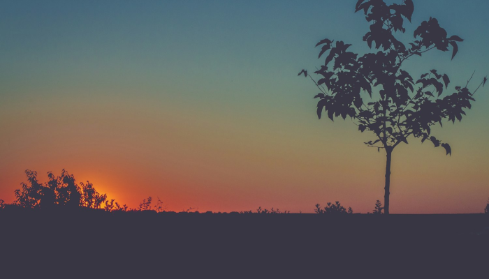 青河疫情最新消息:让我们共同应对,携手渡过难关 青河疫情最新消息:让我们共同应对,携手渡过难关