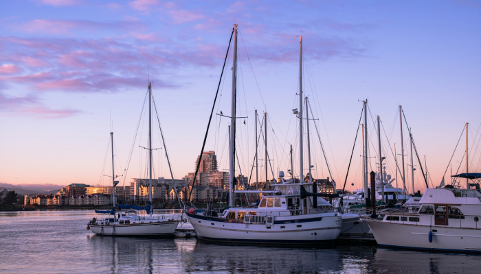 三亚最新的疫情数据图:透视城市防控效果与未来趋势 三亚最新的疫情数据图:透视城市防控效果与未来趋势