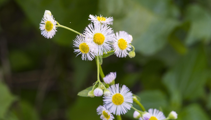播州区疫情图最新:全面了解最新动态,保护健康第一 播州区疫情图最新:全面了解最新动态,保护健康第一