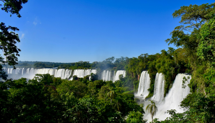 承德疫情最新了：最新动态与防护措施全解析