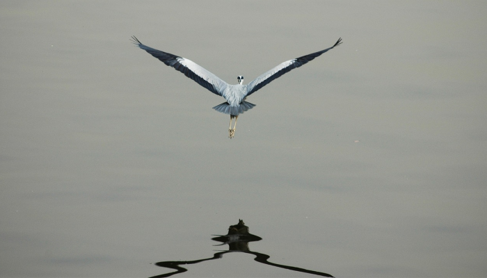 疫情最新数上海:了解最新动态与防疫措施 疫情最新数上海:了解最新动态与防疫措施