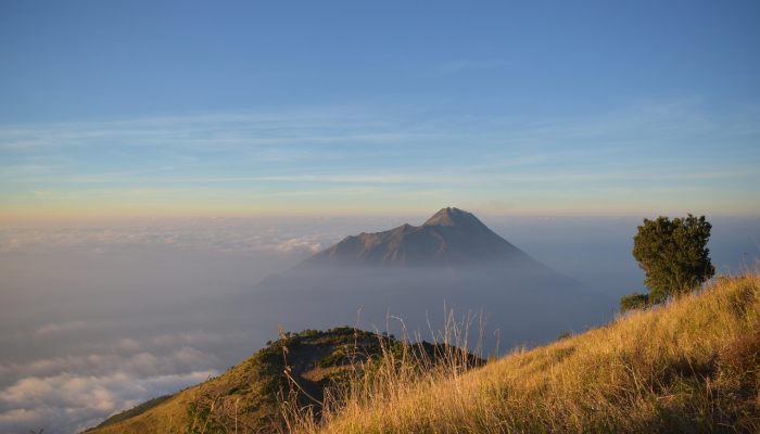 青藏疫情最新通报:全面了解疫情动态与防控措施 青藏疫情最新通报:全面了解疫情动态与防控措施